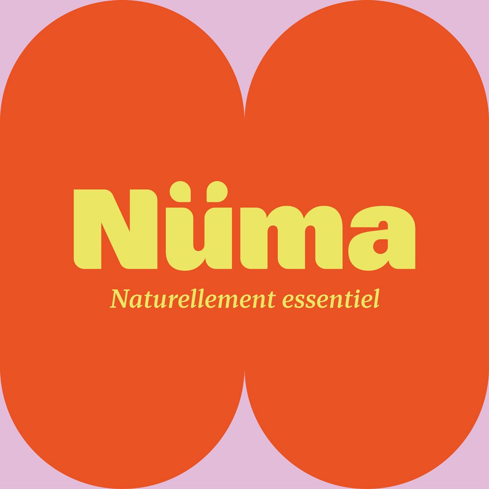 projet numa 1