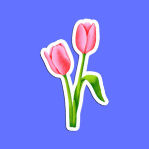 stickerstulipe