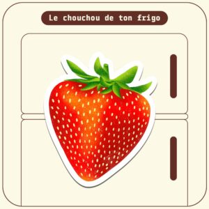 magnetfraise2